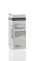 VSM Rhus toxicodendron c12 * 4gr