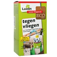 Luxan Vliegenval - Insecten - Luxan