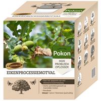 Eikenprocessiemotval - Eikenprocessierups - Pokon