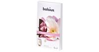 Bolsius Waxmelts pack 6 True Scents Magnolia