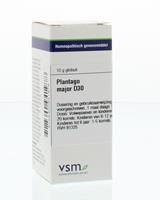 VSM Plantago major d30 10g