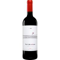 Artevino - Vetus Vetus »Flor de Vetus« 2017  0.75L 14.5% Vol. Rotwein Trocken aus Spanien