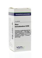 VSM Rhus toxicodendron d200 4g