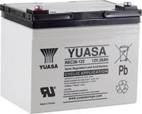 Yuasa REC36-12 Loodaccu 12 V 36 Ah Loodvlies (AGM) (b x h x d) 196 x 169 x 130 mm M5-schroefaansluiting Geringe zelfontlading, Onderhoudsarm, Cyclusbestendig