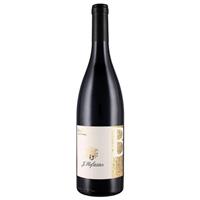 Hofstätter Hofstatter Pinot Nero Barthenau Vigna S. Urbano Alto Adige 2016