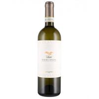 Vite Colte Roero Arneis Villata 2019