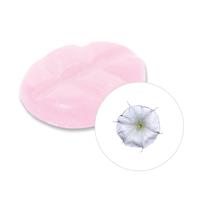 scentchips Maanbloem Geurchips 