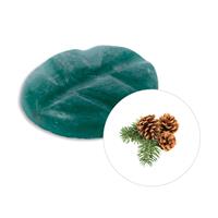 scentchips Winterwoud Geurchips 