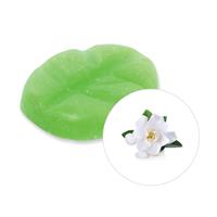 scentchips Gardenia Geurchips 