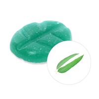 scentchips Eucalyptus Geurchips 