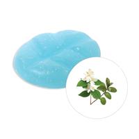 scentchips Jasmijn & Patchouli Geurchips 