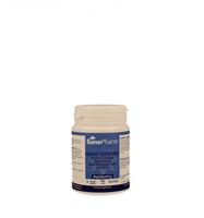 Sanopharm Night support 80 gram