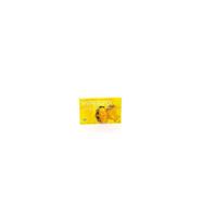Plantapol Hyperipol ampullen 10 ml 20 ampullen