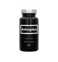 Apb Holland Astragalus