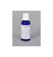 Vita Syntheses 84 energie 30 ml