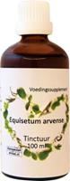 Ther Winkel Equisetum arvense heermoes 100ml