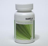 Ayurveda Health Karela momordica 120tab