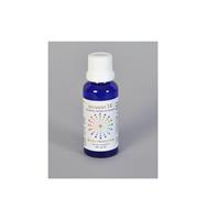 Vita Segment 14 Hormonen eiwitten enzymen 30 ml
