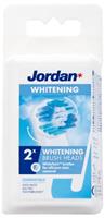 Jordan Opzetborstel white 2 stuks