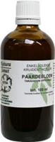 Taraxacum officinalis rad / paardebloem 100ml