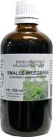 Natura Sanat Plantago lanc/smalle weegbree tinctuur bio 100ml