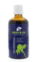 Herbs4you Oer-echinacea tinctuur 100ml