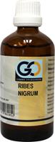 Ribes nigrum 100ml