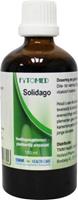 Solidago 100ml