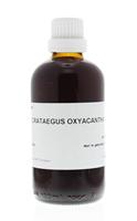Homeoden Heel Crataegus oxyacantha phyto 100ml