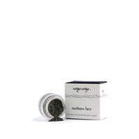 Uoga Uoga Eyeshadow 720 northern fern 1G
