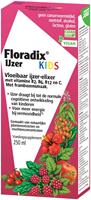 Salus Floradix Ijzer Elixer Kids