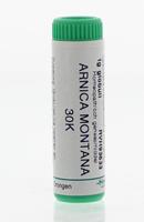 Homeoden Heel Arnica montana 30k 1g