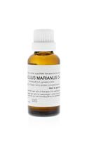 Homeoden Heel Carduus marianus d4 30ml
