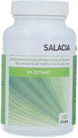 Ayurveda Health Health salacia 5% 120tb