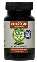 Jacob Hooy CBD 50mg Capsules