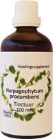 Ther Winkel Harpagophytum procumbens 100ml