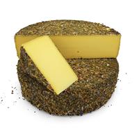1,5kg Hooibloem kaas 50+