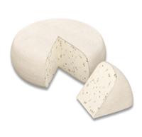 2,3kg Geitenkaas met Walnoot & Hazelnoot 50+