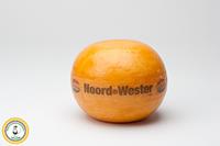 1,6kg Belegen Edammer Kaas Noord-West CONO 40+