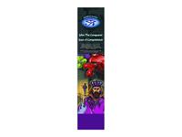 Spiru Mystical Aroma's Wierook John the Conqueror (22 stokjes - 30 gram)