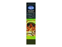Spiru Mystical Aroma's Wierook St. Martha the Dominator (22 stokjes - 30 gram)