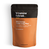 Vitaminefabriek B12 Energy - 1.000 mcg Plus - 30 zuigtabletten - .nl