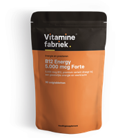 Vitaminefabriek B12 Energy - 5000 mcg Forte - 90 zuigtabletten - .nl