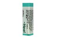 Homeoden Heel Arnica montana 10mk 1g