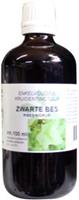 Ribes nigrum fol / zwarte bes 100ml