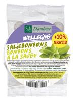 Damhert Saliebonbons 100g