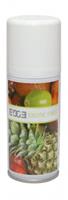 Euro Products Luchtverfrisser Aerosol Exotic Fruit 12 Stuks