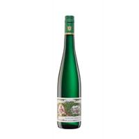 Maximin Grünhaus Schloss Riesling Gutswein Trocken 2021