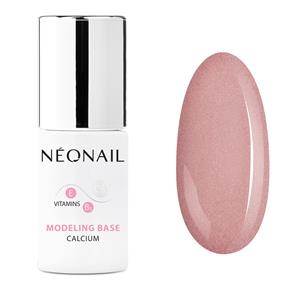 NEONAIL Modeling Base Calcium