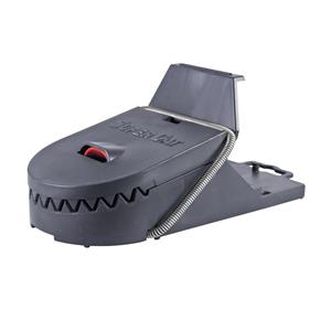 RATTENVAL MET LOKSTOF | Rattenklem